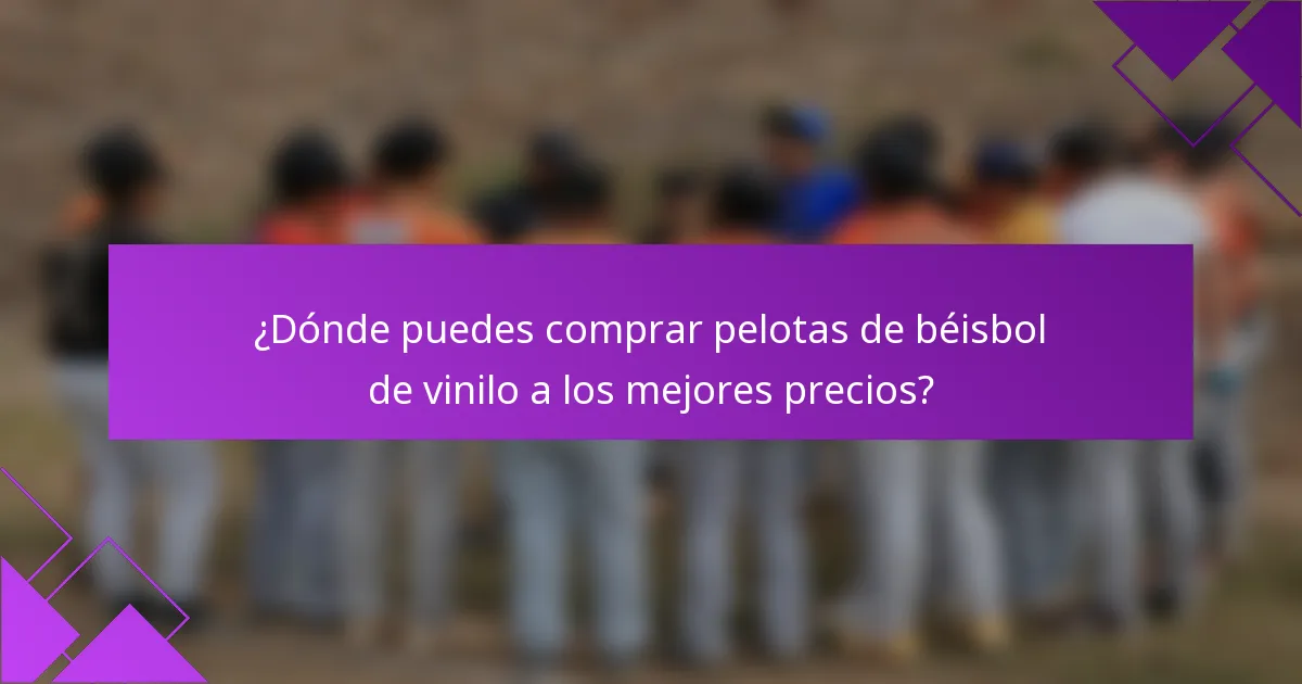 ¿Dónde puedes comprar pelotas de béisbol de vinilo a los mejores precios?
